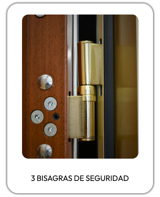 3-bisagras-de-seguridad-66392844acc3e